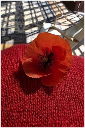 Mes skirtingos. Mes panašios RUDUO-ŽIEMA'25/26 - I dublis